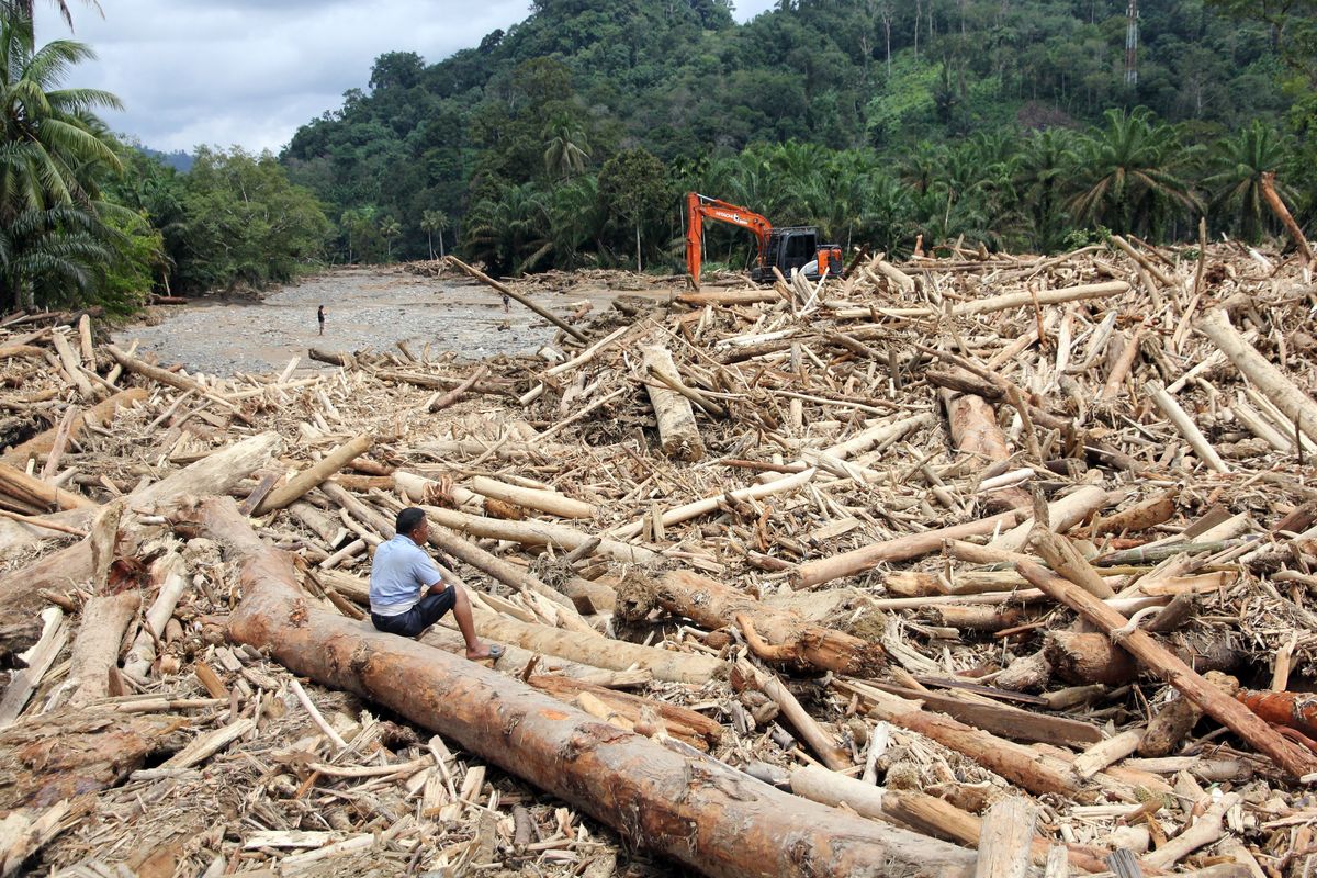 Peringatan Dini Nasional: Deforestasi Kalimantan–Papua Ancam Stabilitas Ekologis