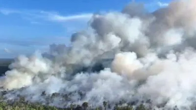 11 Korporasi Tersangka Karhutla Terafiliasi Asing, Terbanyak di Kalbar