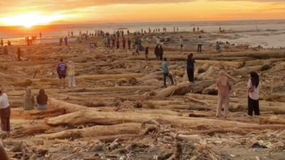 Asal Kayu Gelondongan Sumut: Perhitungan Ahli ITB dan Konteks Besar Tata Kelola Hutan