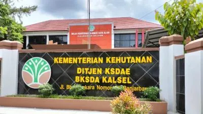 Kepala BKSDA Kalsel Ditahan Kejati soal Korupsi Rp 5,65 Miliar
