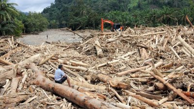 Peringatan Dini Nasional: Deforestasi Kalimantan–Papua Ancam Stabilitas Ekologis